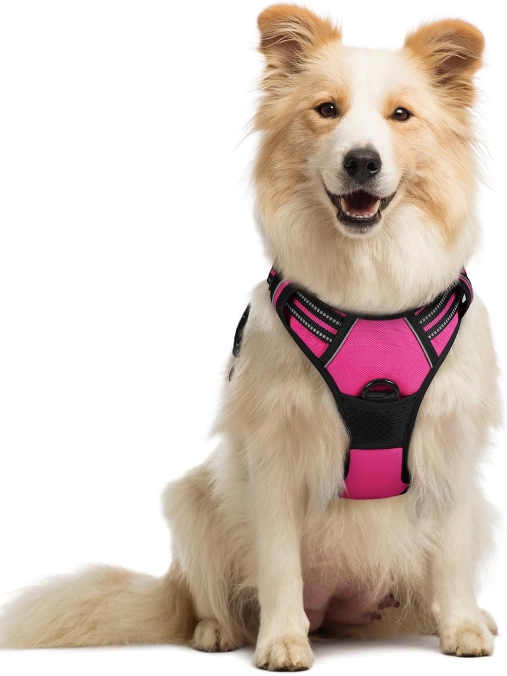 rabbitgoo Dog Harness, No Pull Medium Sized Pet Vest (22-51 lbs)